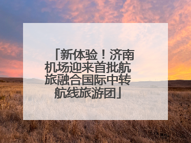新体验！济南机场迎来首批航旅融合国际中转航线旅游团