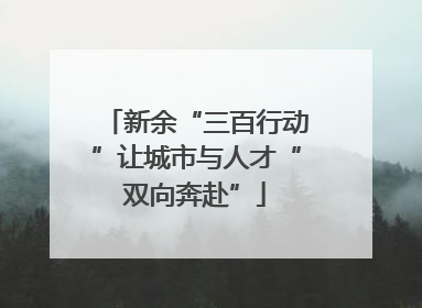 新余“三百行动”让城市与人才“双向奔赴”