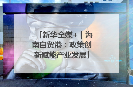 新华全媒+｜海南自贸港：政策创新赋能产业发展