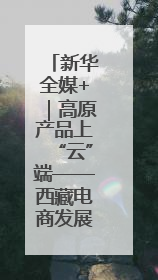 新华全媒+｜高原产品上“云”端——西藏电商发展一线观察