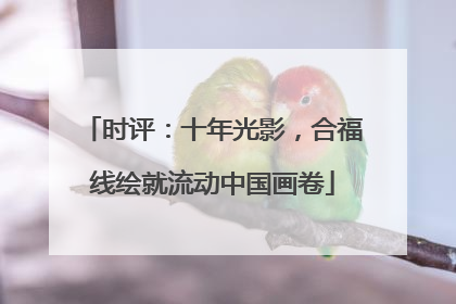 时评：十年光影，合福线绘就流动中国画卷