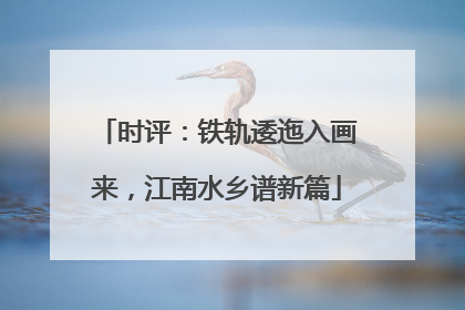 时评：铁轨逶迤入画来，江南水乡谱新篇