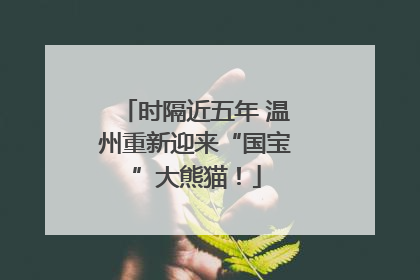 时隔近五年 温州重新迎来“国宝”大熊猫！
