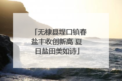 无棣县埕口镇春盐丰收创新高 夏日盐田美如诗