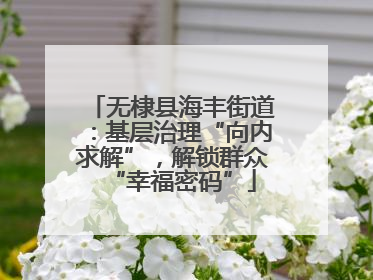 无棣县海丰街道：基层治理“向内求解”，解锁群众“幸福密码”