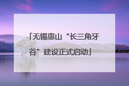 无锡惠山“长三角牙谷”建设正式启动
