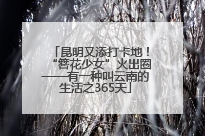 昆明又添打卡地！“簪花少女”火出圈——有一种叫云南的生活之365天