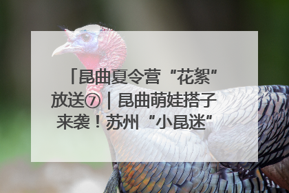昆曲夏令营“花絮”放送⑦｜昆曲萌娃搭子来袭！苏州“小昆迷”姐弟期待同台演绎“姑苏水磨调”