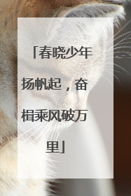 春晓少年扬帆起，奋楫乘风破万里