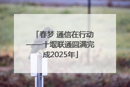 春梦 通信在行动——十堰联通圆满完成2025年
