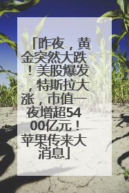 昨夜，黄金突然大跌！美股爆发，特斯拉大涨，市值一夜增超5400亿元！苹果传来大消息