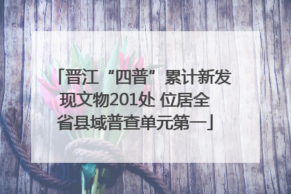晋江“四普”累计新发现文物201处 位居全省县域普查单元第一
