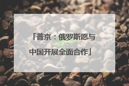 普京：俄罗斯愿与中国开展全面合作