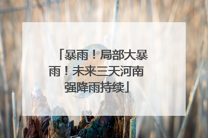 暴雨！局部大暴雨！未来三天河南强降雨持续