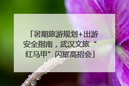 暑期旅游规划+出游安全指南，武汉文旅“红马甲”闪耀高招会