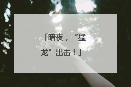 暗夜，“猛龙”出击！