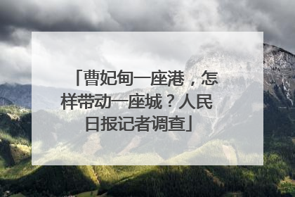 曹妃甸一座港，怎样带动一座城？人民日报记者调查