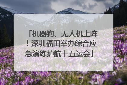 机器狗、无人机上阵！深圳福田举办综合应急演练护航十五运会