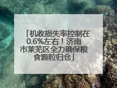机收损失率控制在0.6%左右！济南市莱芜区全力确保粮食颗粒归仓
