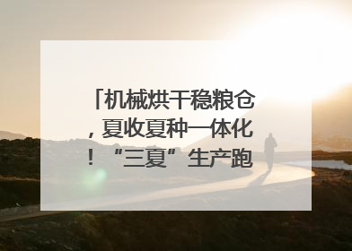 机械烘干稳粮仓，夏收夏种一体化！“三夏”生产跑出加速度｜麦报
