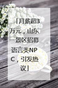 月薪超3万元，山东一景区招募语言类NPC，引发热议