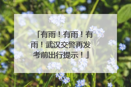 有雨！有雨！有雨！武汉交警再发考前出行提示！