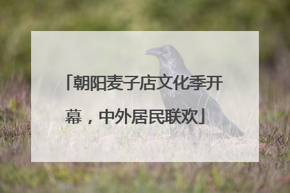 朝阳麦子店文化季开幕，中外居民联欢