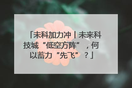 未科加力冲丨未来科技城“低空方阵”，何以蓄力“先飞”？