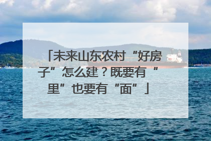 未来山东农村“好房子”怎么建？既要有“里”也要有“面”