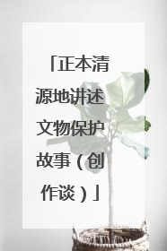 正本清源地讲述文物保护故事（创作谈）