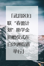 武昌区妇联“春蕾计划”助学金捐赠仪式在白沙洲街道举行