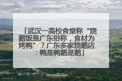 武汉一高校食堂称“烧鹅饭是广东俗称，食材为烤鸭”？广东多家烧鹅店：鸭是鸭鹅是鹅
