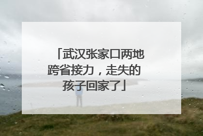武汉张家口两地跨省接力，走失的孩子回家了