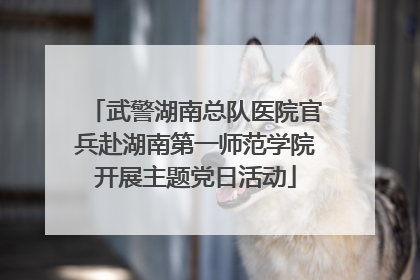 武警湖南总队医院官兵赴湖南第一师范学院开展主题党日活动