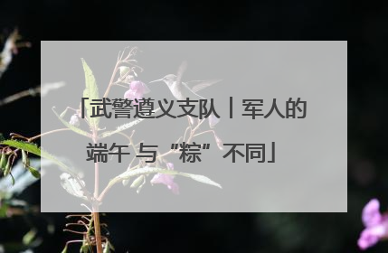 武警遵义支队︱军人的端午 与“粽”不同