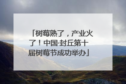 树莓熟了，产业火了！中国·封丘第十届树莓节成功举办