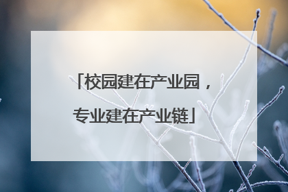 校园建在产业园，专业建在产业链