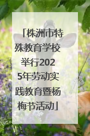 株洲市特殊教育学校举行2025年劳动实践教育暨杨梅节活动