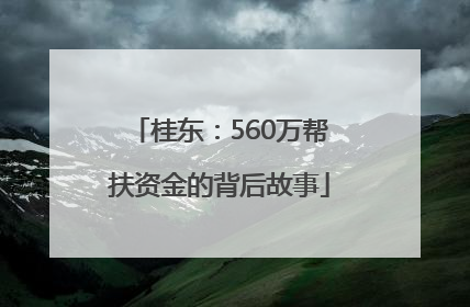 桂东：560万帮扶资金的背后故事