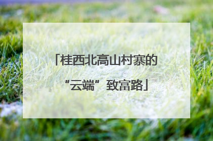 桂西北高山村寨的“云端”致富路