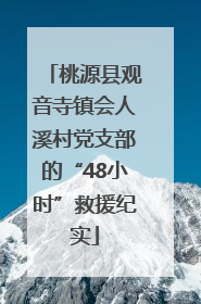 桃源县观音寺镇会人溪村党支部的“48小时”救援纪实