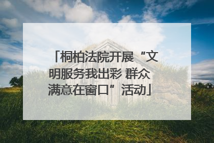 桐柏法院开展“文明服务我出彩 群众满意在窗口”活动