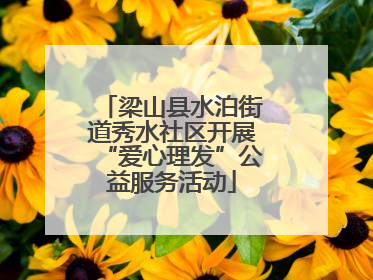 梁山县水泊街道秀水社区开展“爱心理发”公益服务活动