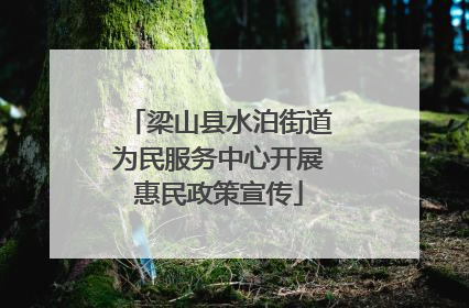 梁山县水泊街道为民服务中心开展惠民政策宣传
