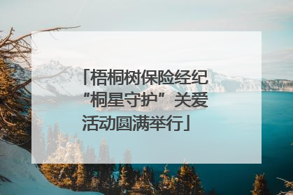 梧桐树保险经纪“桐星守护”关爱活动圆满举行