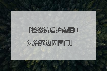 检徽铸盾护南疆 法治强边固国门