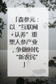 森参元：以“互联网+认养”重塑人参产业，争做时代“新农民”