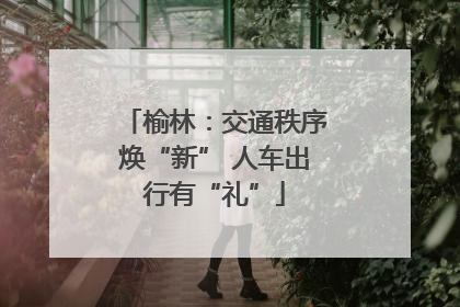 榆林：交通秩序焕“新” 人车出行有“礼”
