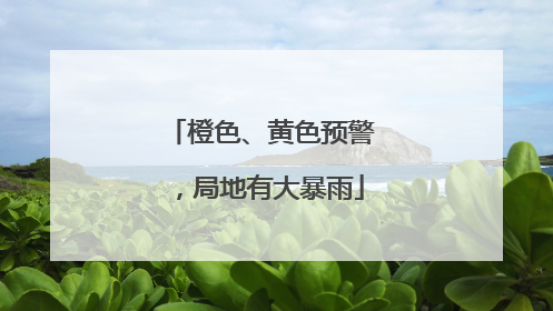 橙色、黄色预警，局地有大暴雨