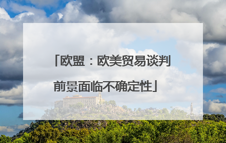 欧盟：欧美贸易谈判前景面临不确定性